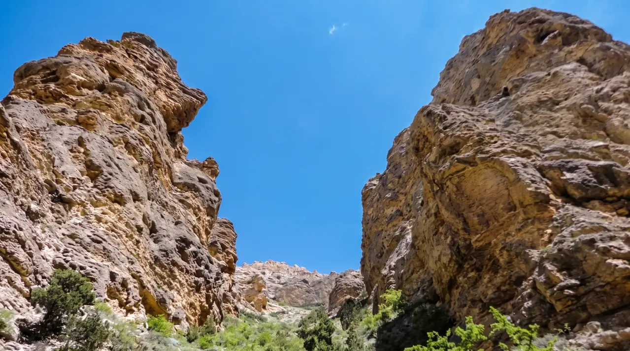 Dolpo