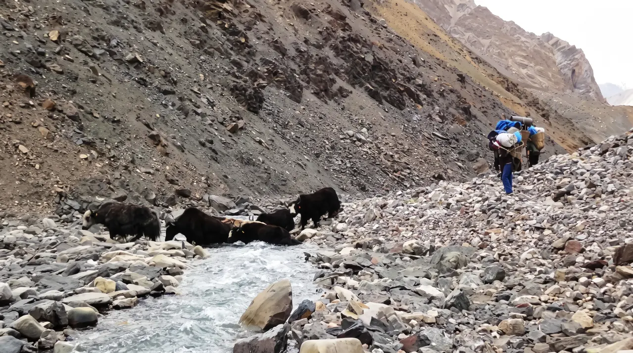 Dolpo