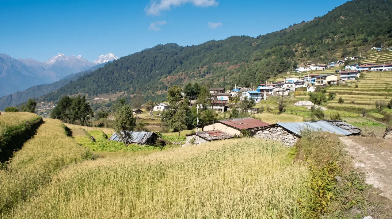 Wiesen und Felder im Dorf Sermanthang