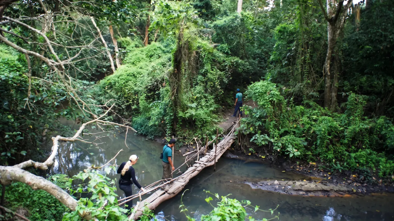 Trekking im Dschungel, Chitwan Nationaalpark, Nepal