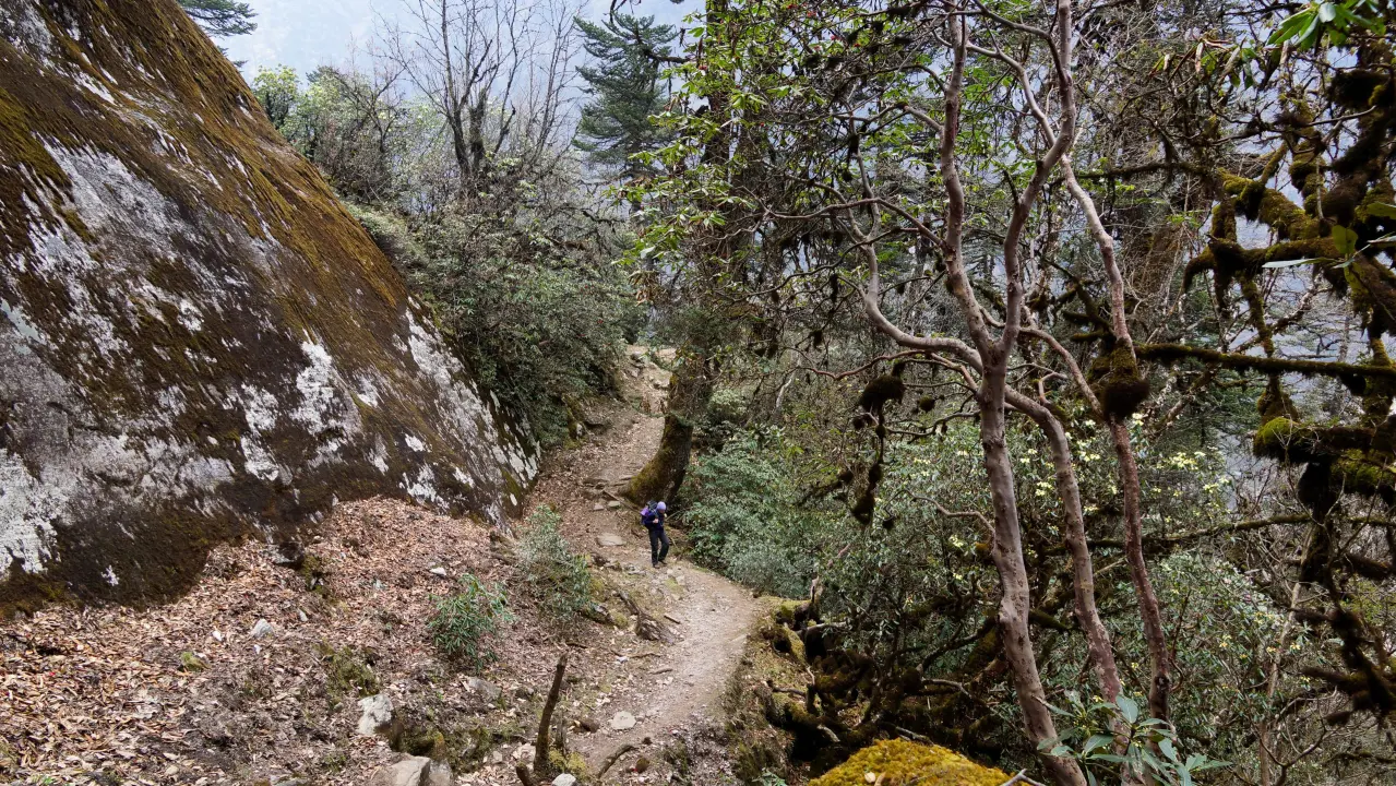 Makalu-Trekking