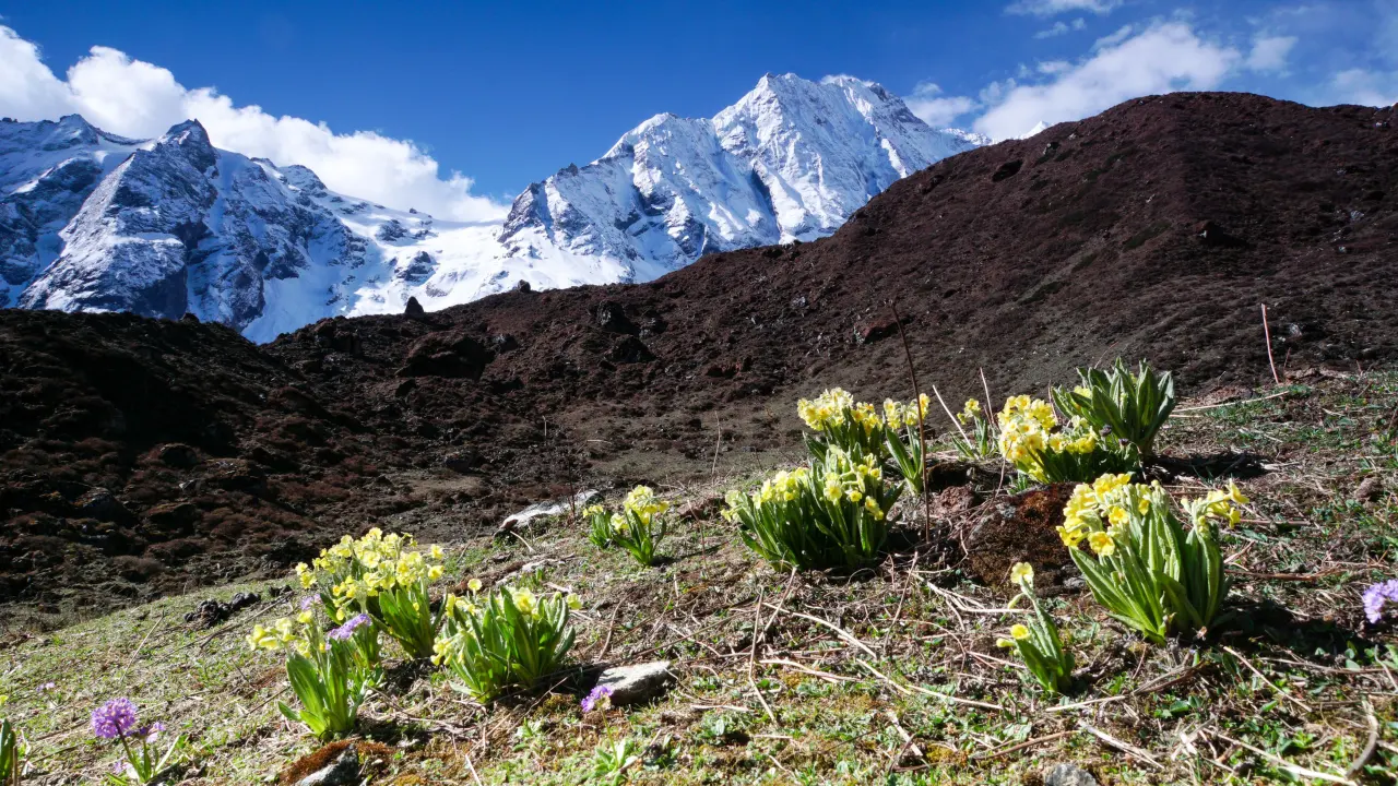 Manaslu Trekking