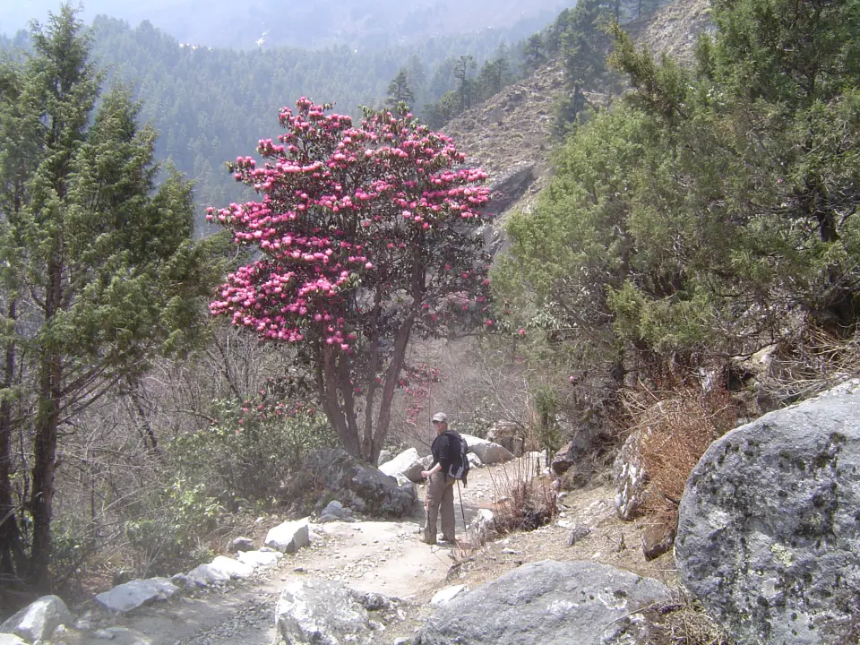 Abstieg in Richtung Thengboche