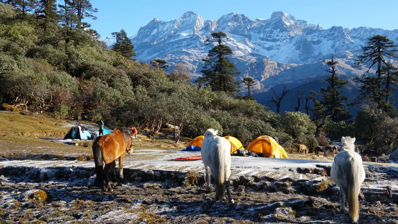 Camp am Kangchendzönga